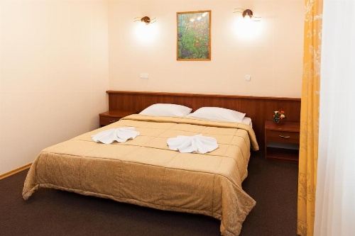 U Fontana Hotel image 11