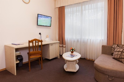 U Fontana Hotel image 27